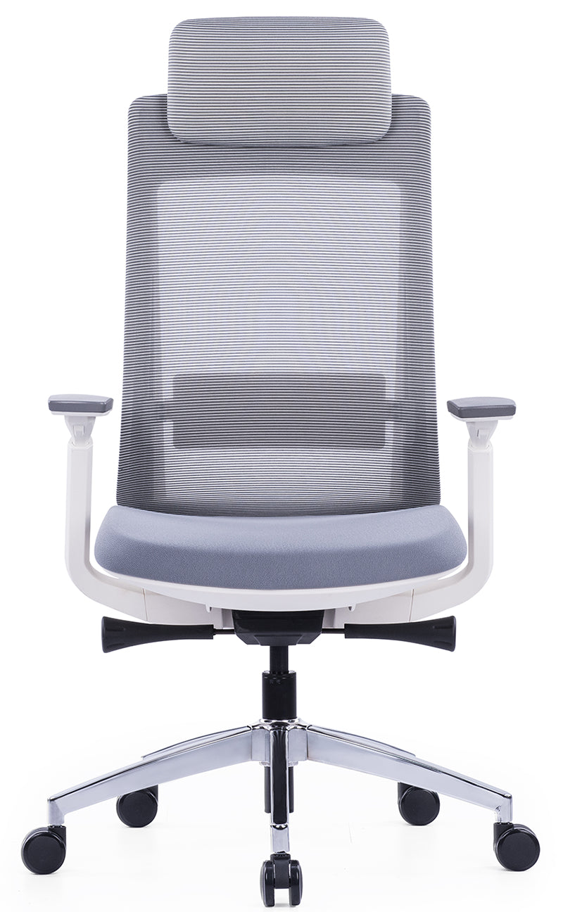 High Back Multifunction Ergonomic Office Chair, Adjustable Headrest, Lumbar Support - COOLBABY