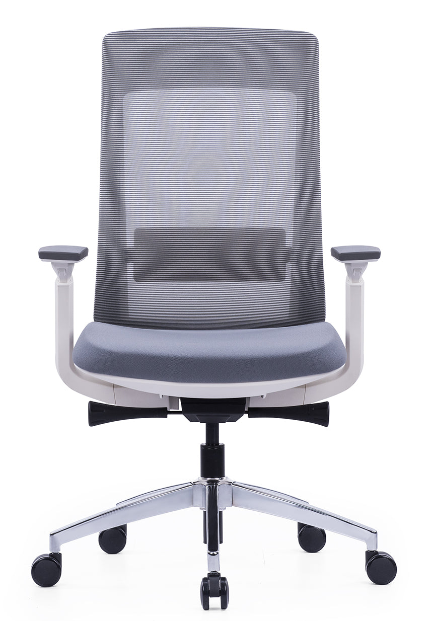 High Back Multifunction Ergonomic Office Chair, Adjustable Headrest, Lumbar Support - COOLBABY