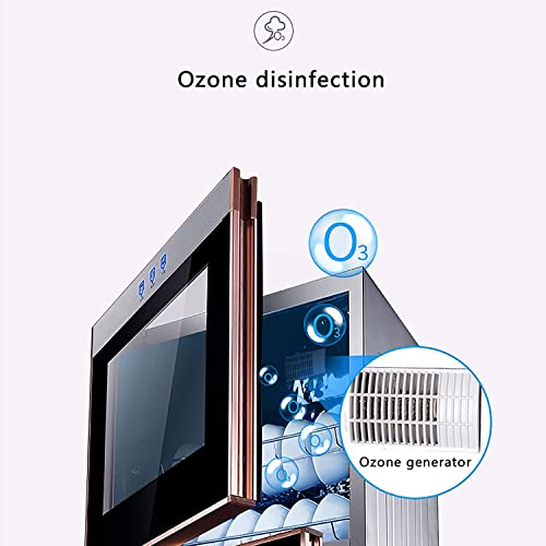 Home Disinfection Cabinet, Multifunctional Vertical Double Door, Large Capacity, Tableware High Temperature Storage Cabinet - Black - COOLBABY