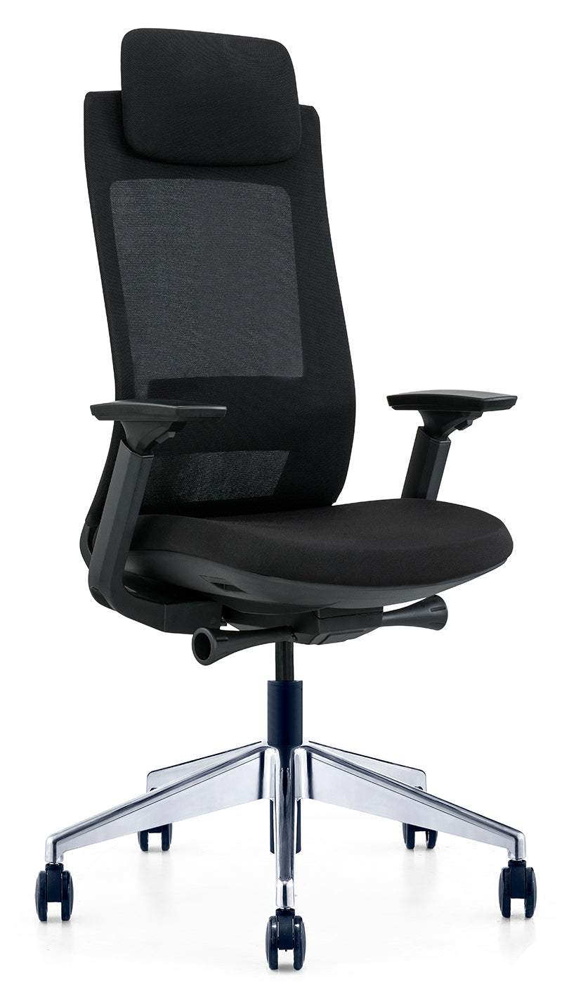 High Back Multifunction Ergonomic Office Chair, Adjustable Headrest, Lumbar Support - COOLBABY