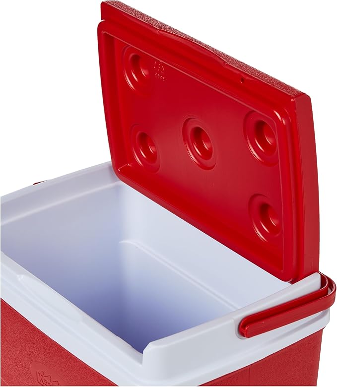 20L Plastic Picnic Cooler Icebox Lunchbox Red & White – Portable Insulated Cooler with 5-Day Ice Retention
