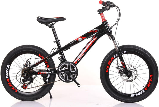20 Inch 21 Speed Mountain Bike, Suspended Disc Brake, Bicycle Road Bike - COOLBABY