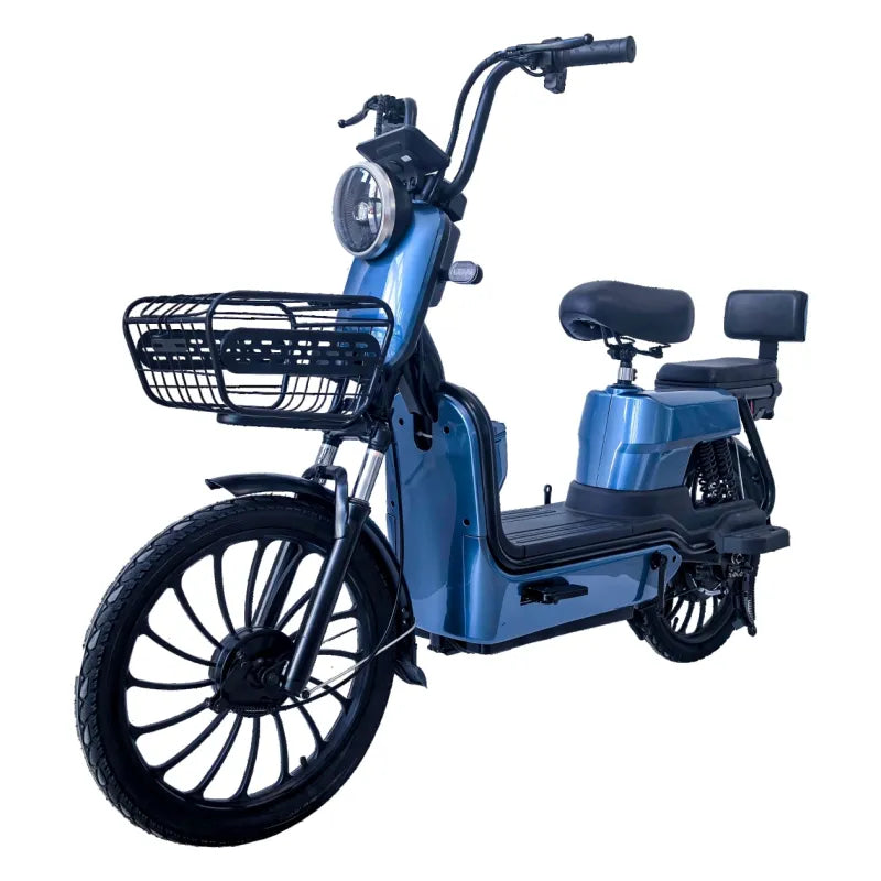 500w Electric Bike Two Wheel Electric Road Bike - Electric Scooter - COOLBABY