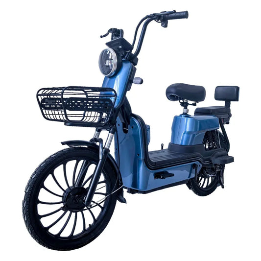 500w Electric Bike Two Wheel Electric Road Bike - Electric Scooter - COOLBABY