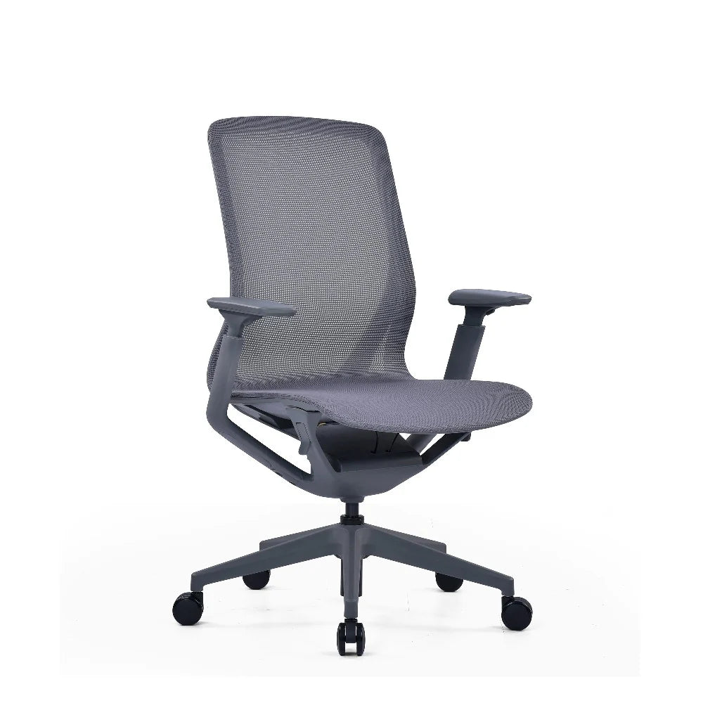 COOLBABY RILEY Ergonomic Office Chair with Adjustable 3D Armrests and Breathable Mesh Backrest - COOLBABY