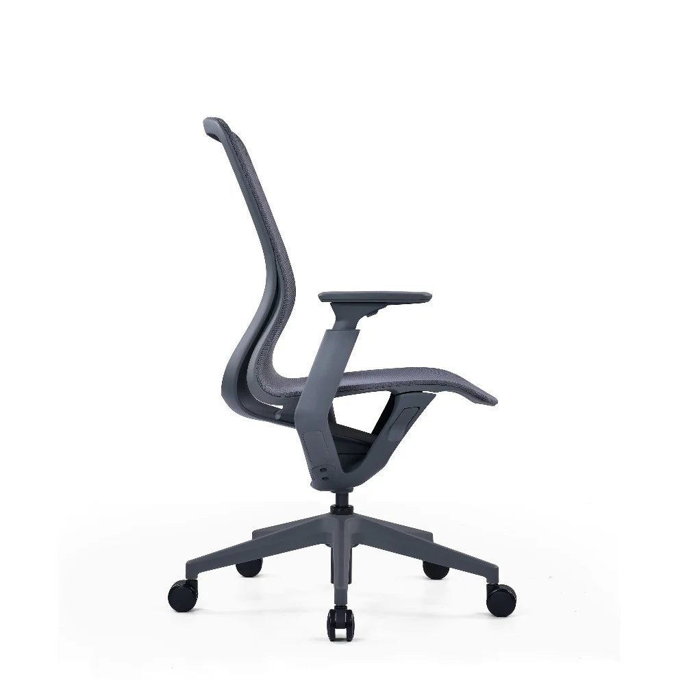 COOLBABY RILEY Ergonomic Office Chair with Adjustable 3D Armrests and Breathable Mesh Backrest - COOLBABY