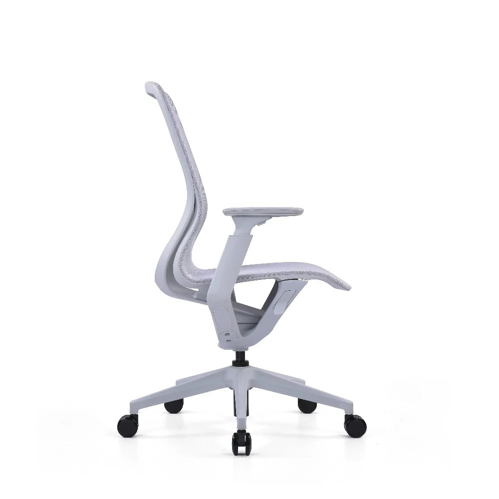 COOLBABY RILEY Ergonomic Office Chair with Adjustable 3D Armrests and Breathable Mesh Backrest - COOLBABY