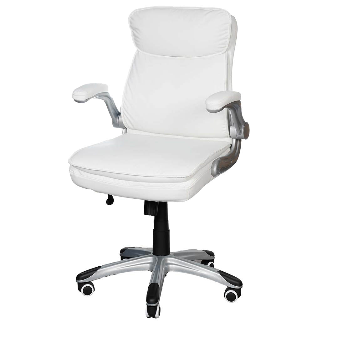 COOLBABY Ergonomic Low Back Office Chair EQ-5180-B with PU Leather, Padded Arm Rests, and Durable Design - COOLBABY