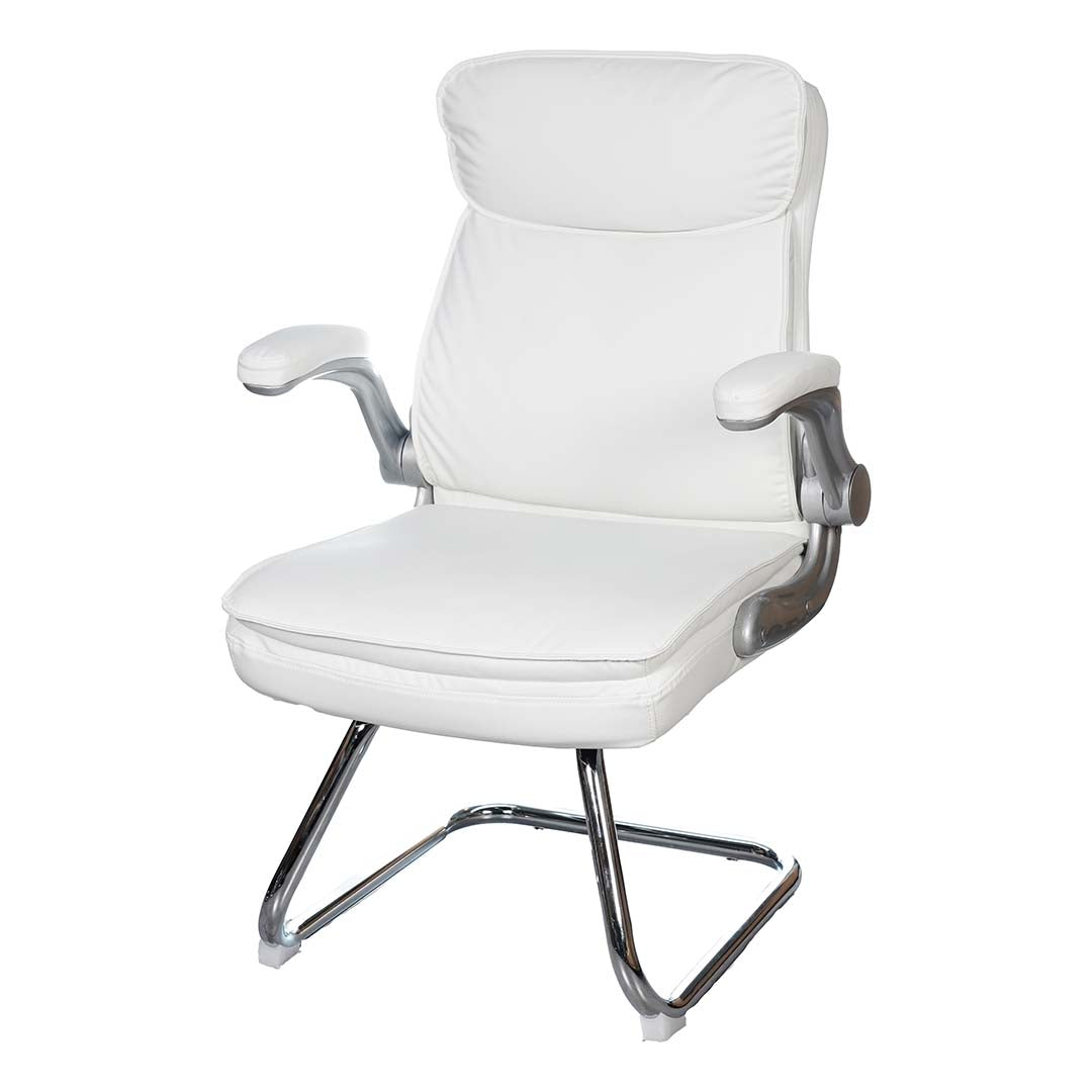 COOLBABY Premium Ergonomic Office Visitor Chair EQ-5180-C with Pure Leather and Aluminum Base - COOLBABY