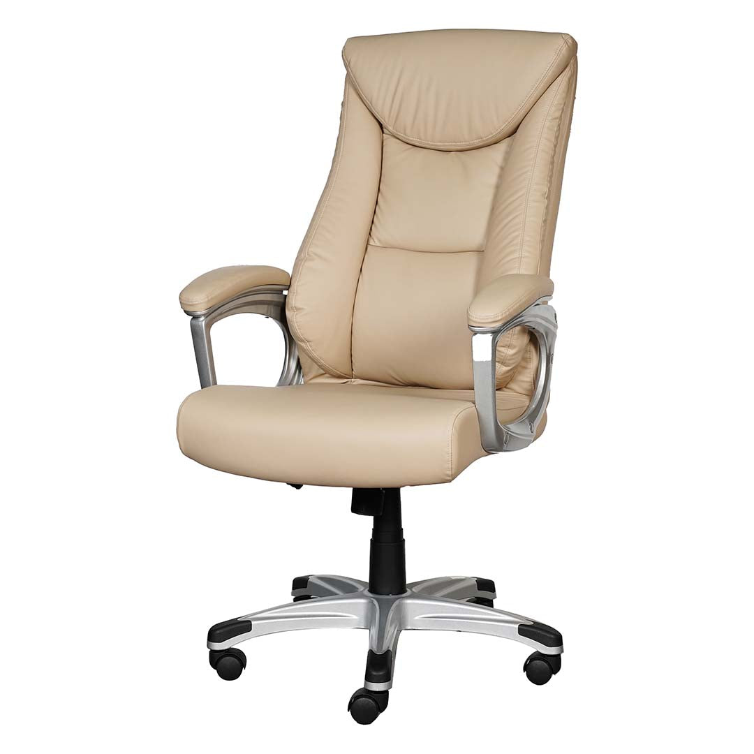 COOLBABY Ergonomic High Back Office Chair EQ-5182-A with PU Leather, Retractable Armrests - COOLBABY