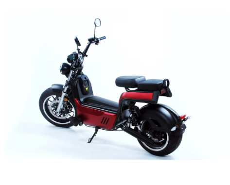 Vintage Electric Scooter, with 4000W Powerful Motor EEC - COOLBABY