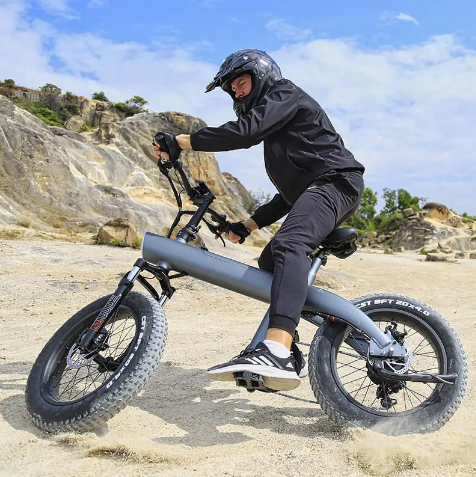 Aluminum Alloy E-Bike, 20 Inch Fat Tire, Off Road, Electric Bike Scooter - COOLBABY