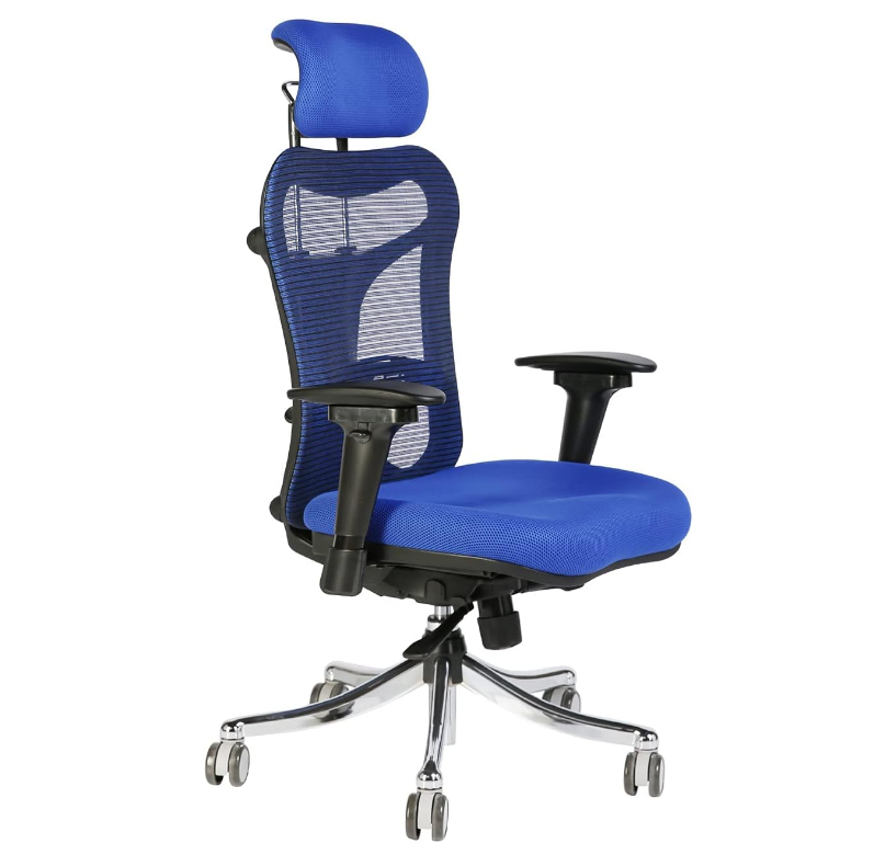 Executive Office Chair | Mesh with Nylon Back Rest - COOLBABY