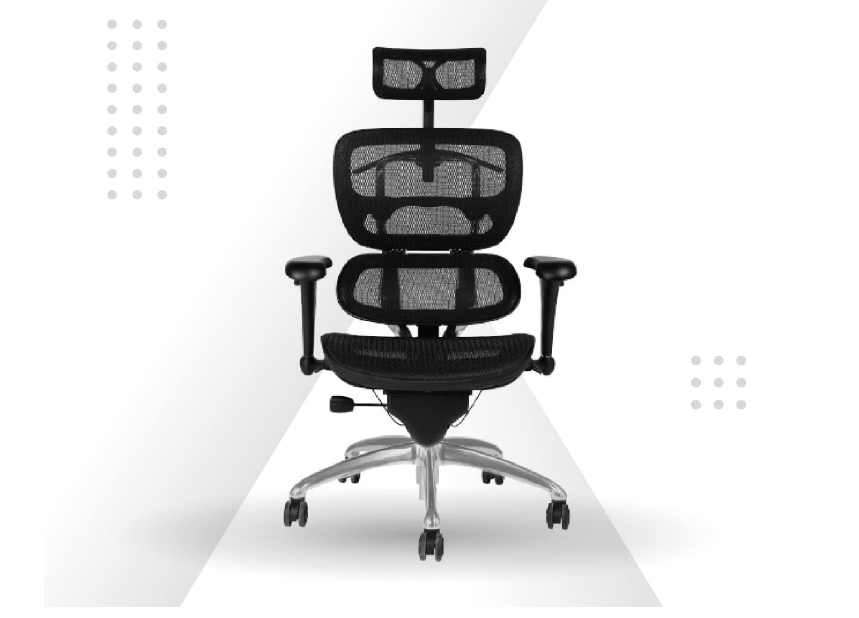 Executive Office Chair with Lumber Support, Nylon with Mesh Upholstery Seat Base, Mesh Back Rest, Aluminum Wheel Base, Adjustable PU Arm, High Back - COOLBABY