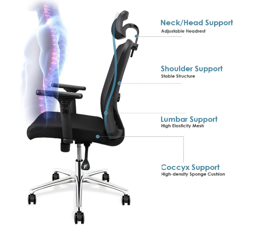 High Back Mesh Office Chair Ergonomic Chair, with Adjustable Headrest/Armrest and Lumbar Support - COOLBABY