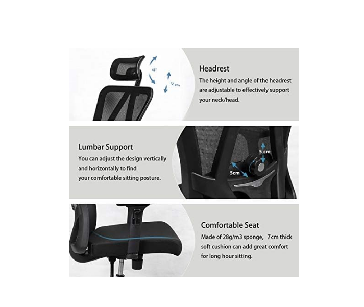 High Back Mesh Office Chair Ergonomic Chair, with Adjustable Headrest/Armrest and Lumbar Support - COOLBABY