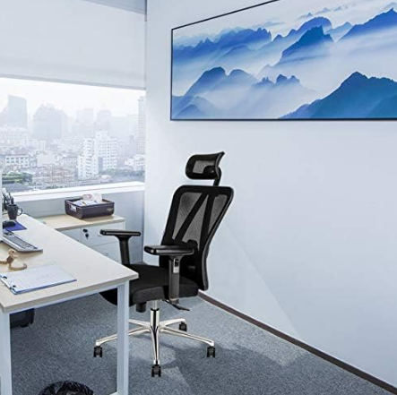 High Back Mesh Office Chair Ergonomic Chair, with Adjustable Headrest/Armrest and Lumbar Support - COOLBABY