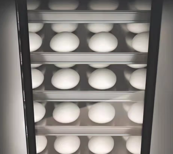Commercial Electric Fermentation Cabinet  16 Trays capacity Timer & Temperature Control - COOLBABY
