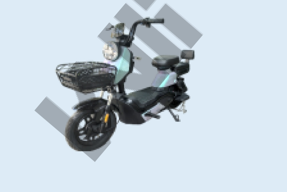 2 Wheel Electric Moped Bike 500W - Electric Scooter - COOLBABY