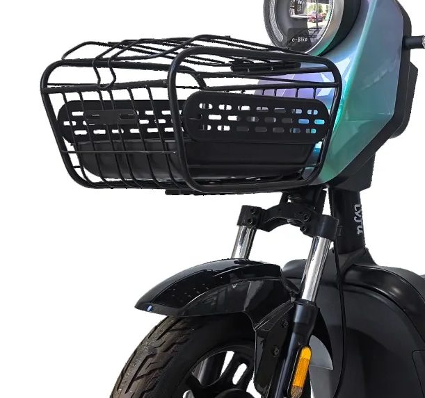 2 Wheel Electric Moped Bike 500W - Electric Scooter - COOLBABY