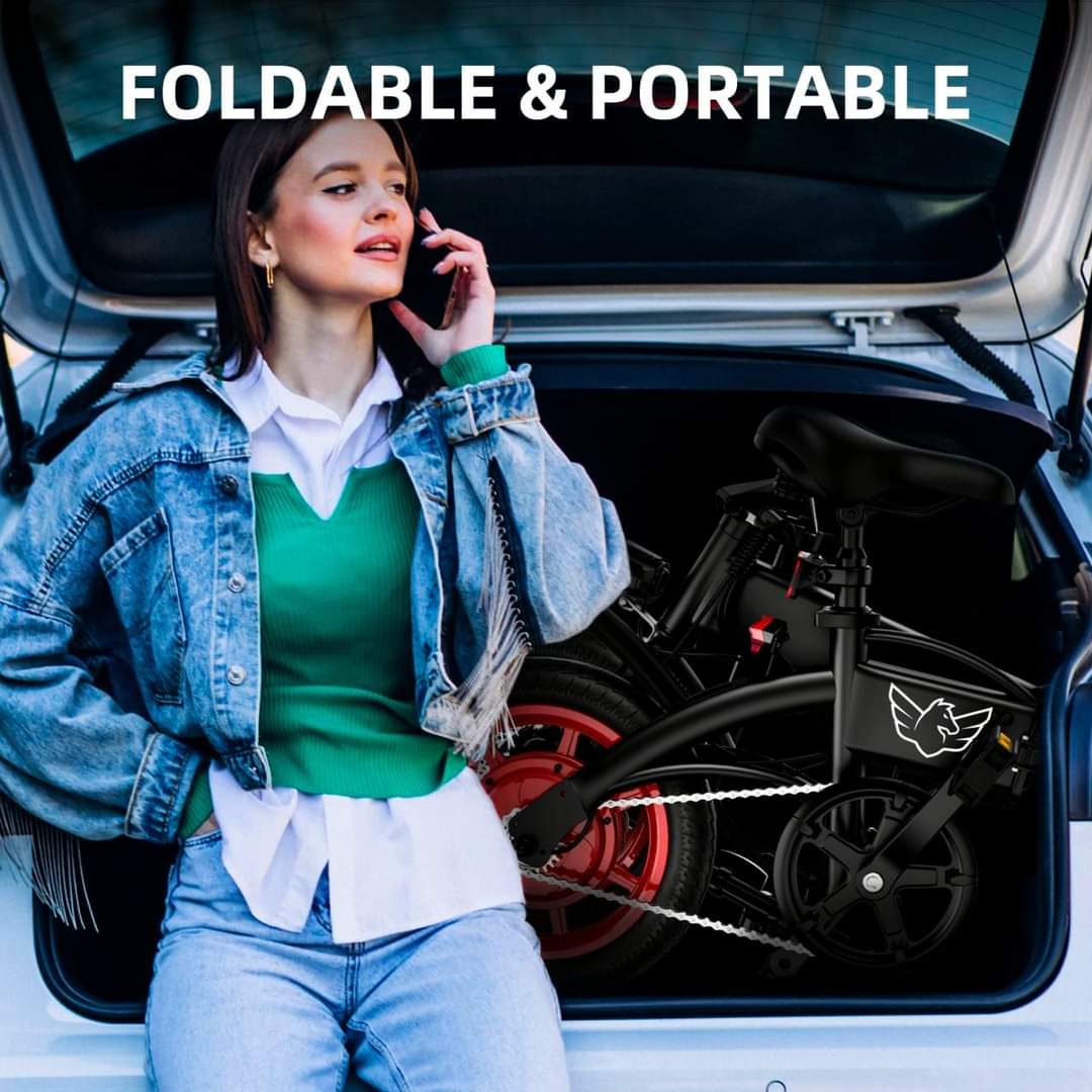 450W Electric City Bike, Electric Bike Scooter With Seat - COOLBABY