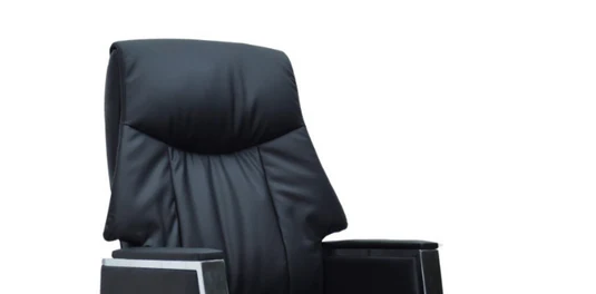 Elegance Executive Leather Office Chair, High Back Steel Structure Office Chair - COOLBABY