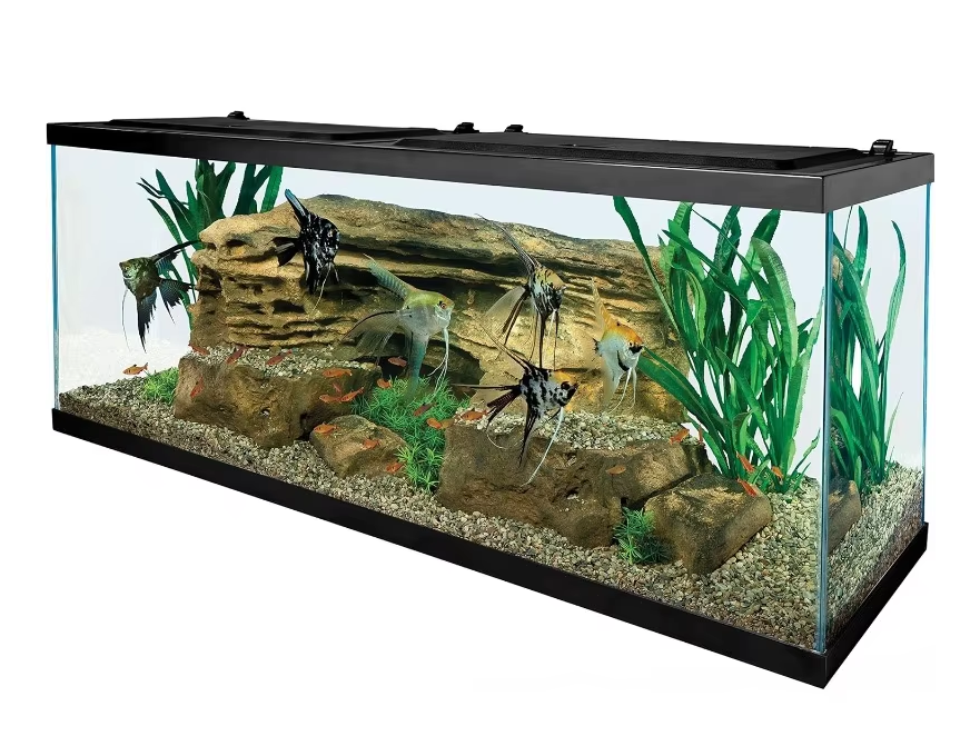 55 Gallon Aquarium Kit With Fish Tank, Fishes Net, Fish Food
