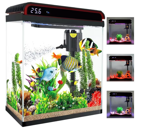 Fish Tank, 5 Gallon Glass Aquarium, With Filter And 3 LED Plant Lights And Water Temperature Detection System - COOLBABY
