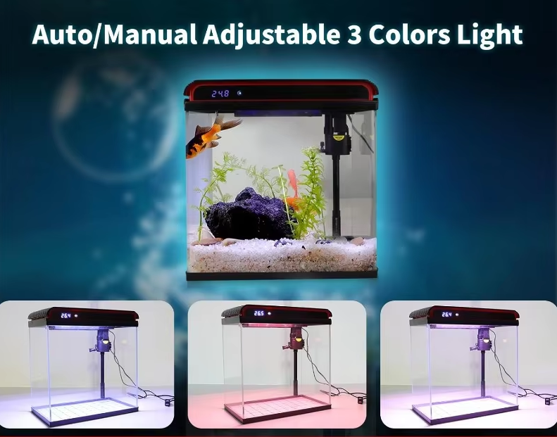 Fish Tank, 5 Gallon Glass Aquarium, With Filter And 3 LED Plant Lights And Water Temperature Detection System - COOLBABY