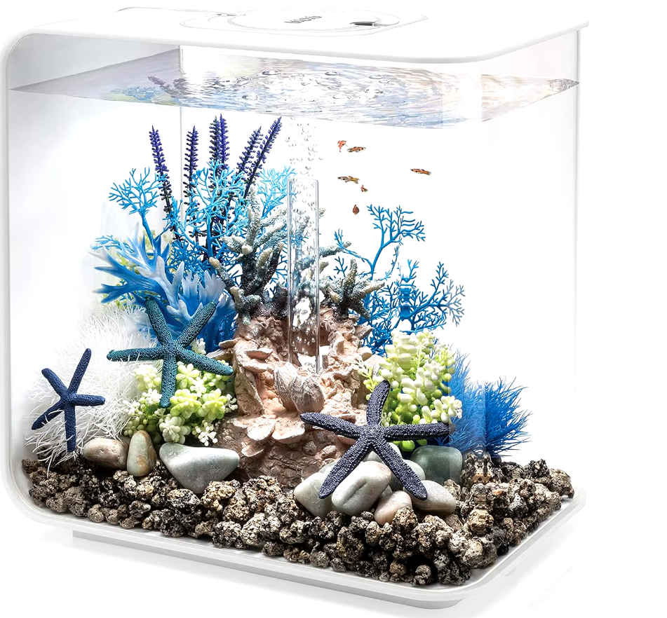 8-Gallon Aquarium With White LED Lights, Modern Tank For Tabletop Display White - COOLBABY