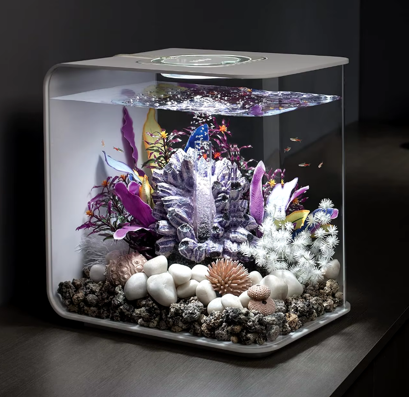 8-Gallon Aquarium With White LED Lights, Modern Tank For Tabletop Display White - COOLBABY