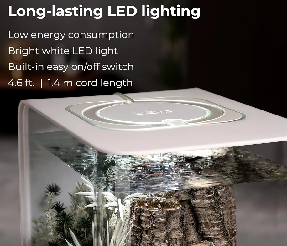 8-Gallon Aquarium With White LED Lights, Modern Tank For Tabletop Display White - COOLBABY