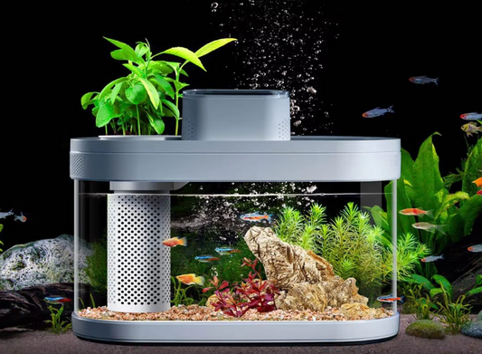 Smart Fish Tank, Ecological Advanced Aquarium Pro Wi-Fi Box Automatic Feeder, RGB Light for Home App - COOLBABY