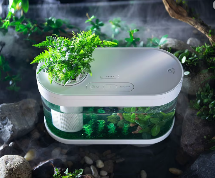 Smart Fish Tank, Ecological Advanced Aquarium Pro Wi-Fi Box Automatic Feeder, RGB Light for Home App - COOLBABY