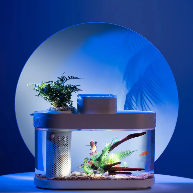 Smart Fish Tank, Ecological Advanced Aquarium Pro Wi-Fi Box Automatic Feeder, RGB Light for Home App - COOLBABY