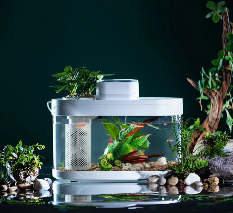 Smart Fish Tank, Ecological Advanced Aquarium Pro Wi-Fi Box Automatic Feeder, RGB Light for Home App - COOLBABY