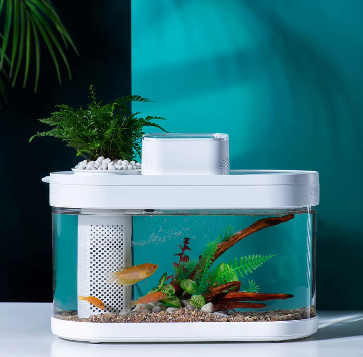 Smart Fish Tank, Ecological Advanced Aquarium Pro Wi-Fi Box Automatic Feeder, RGB Light for Home App - COOLBABY