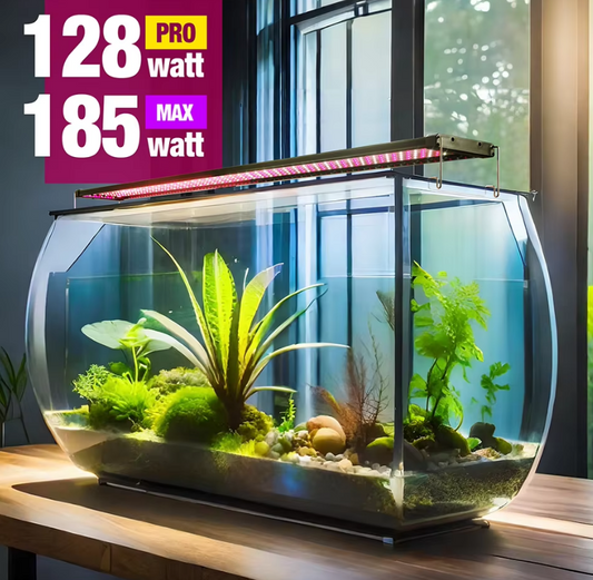 Aquatic Plants Light, Fresh Water / 155~173cm - COOLBABY