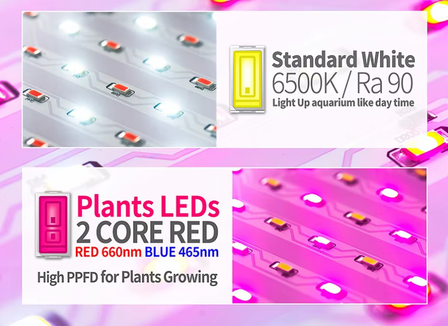 Aquatic Plants Light, Fresh Water / 155~173cm - COOLBABY