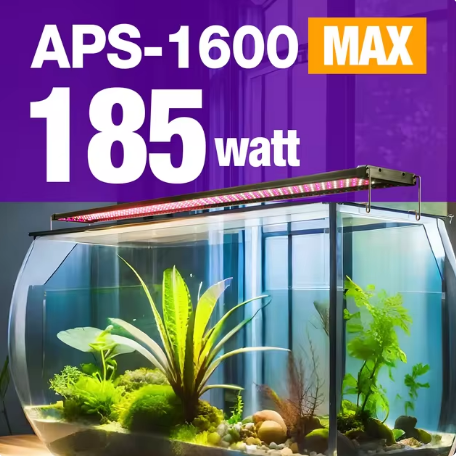 Aquatic Plants Light, Fresh Water / 155~173cm - COOLBABY