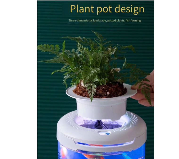 Aquarium Small Fish Tank, Free Water Change, Tank Ecological, Filter Oxygen Lighting, Aquarium Accessories - COOLBABY