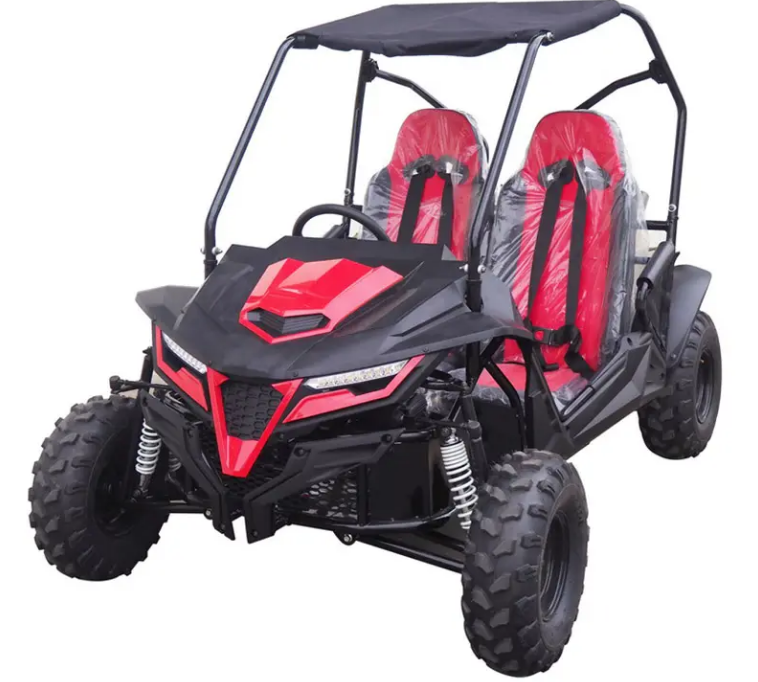 Go-kart Buggy 2 Seater Gas Go Kart, 4 Stroke - Youth Buggy - COOLBABY