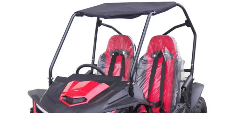 Go-kart Buggy 2 Seater Gas Go Kart, 4 Stroke - Youth Buggy - COOLBABY