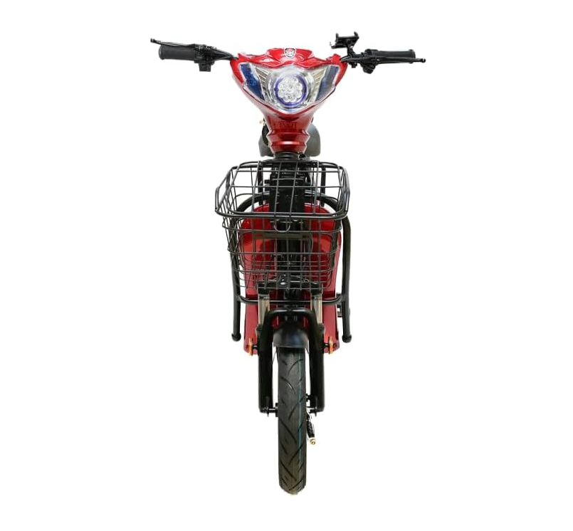 60 Speeds Electric Bike With Carbon Steel Frame, Delivery Bike - Digital display - COOLBABY