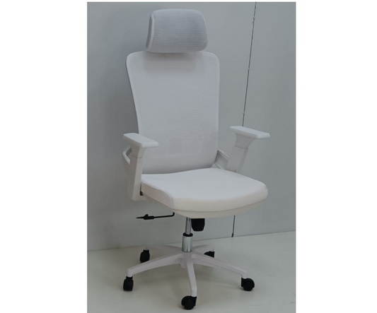 Ergonomic Mesh Office Chair with Lumbar Support, Modern Ergonomic Design For Office - COOLBABY