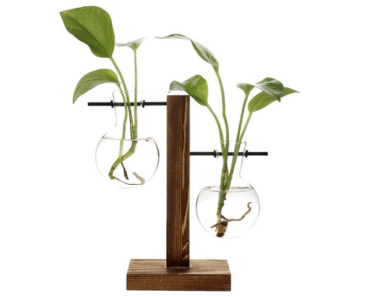 Terrarium Hydroponic Plant Vases Vintage Flower Pot Transparent Vase Wooden Frame Glass Tabletop Plants Home Bonsai Decor - COOLBABY