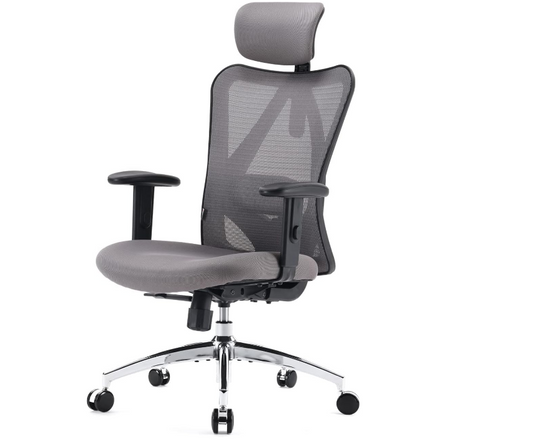 Ergonomic Office Chair, High Back Desk Chair, Adjustable Headrest with 2D Armrest, Lumbar Support and PU Wheels - Grey - COOLBABY
