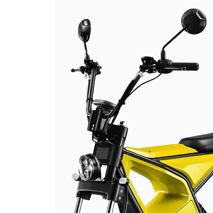 1000W Electric Scooter, Removable Lithium Battery - COOLBABY