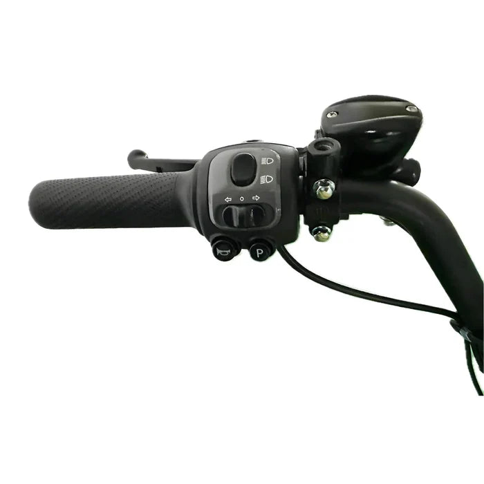 1000W Electric Scooter, Removable Lithium Battery - COOLBABY