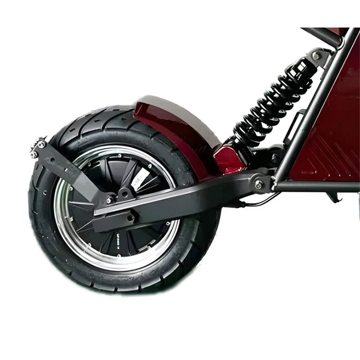 1000W Electric Scooter, Removable Lithium Battery - COOLBABY